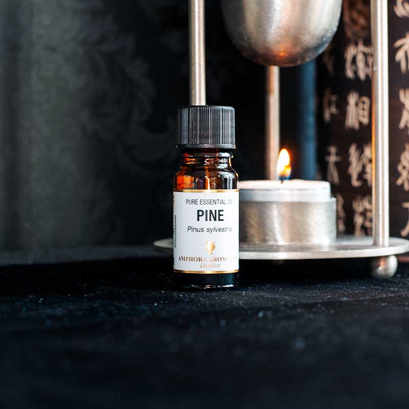 Pine Essential Oil 10ml