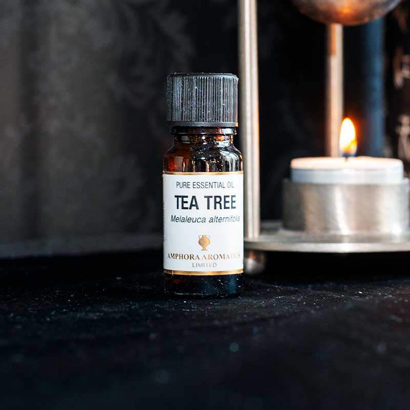 Tea Tree Essential Oil 10ml