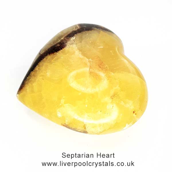 Septarian Heart