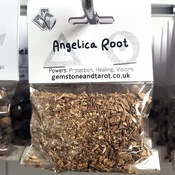 Angelica Root