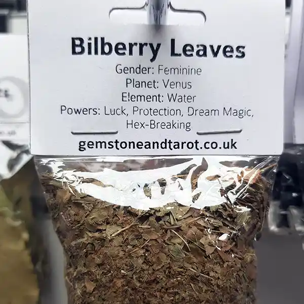 Bilberry leaves