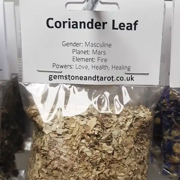 Coriander