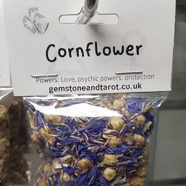 Cornflower