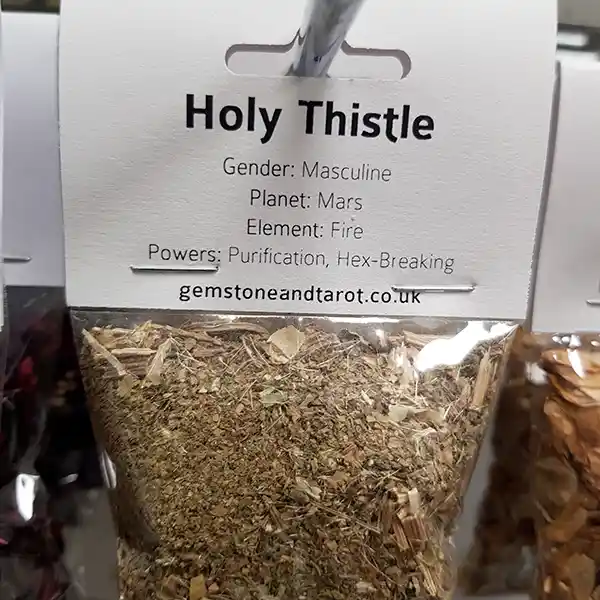 Holy Thistle