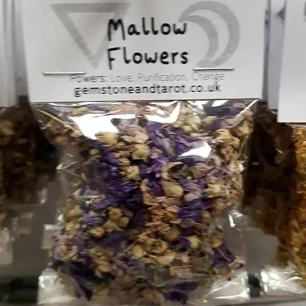 Mallow Flower