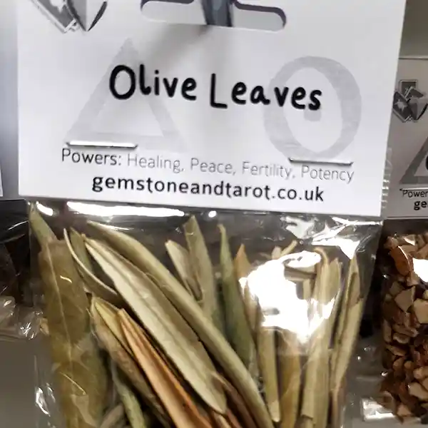 Olive Leaves