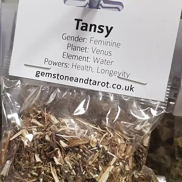 Tansy