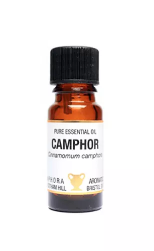 Camphor Essential Oil 10ml