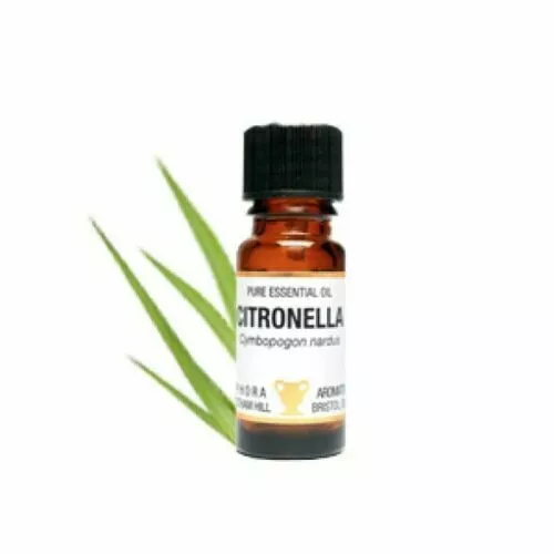 Citronella Essential Oil 10ml