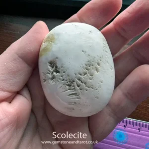 White Scolecite Palm Stone
